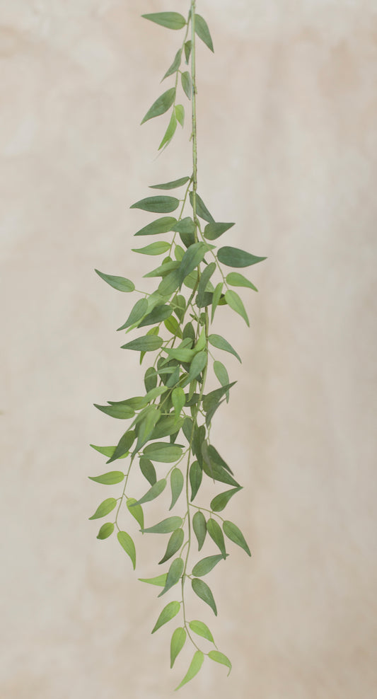 Italian ruscus spray