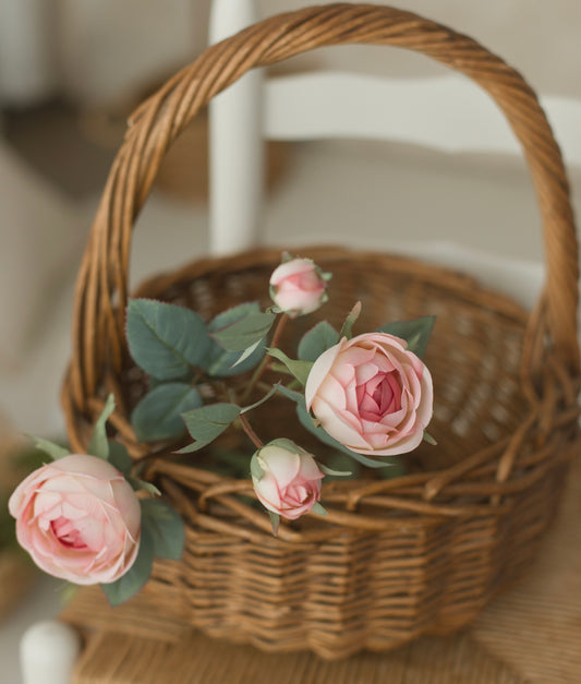 blush cabbage rose spray